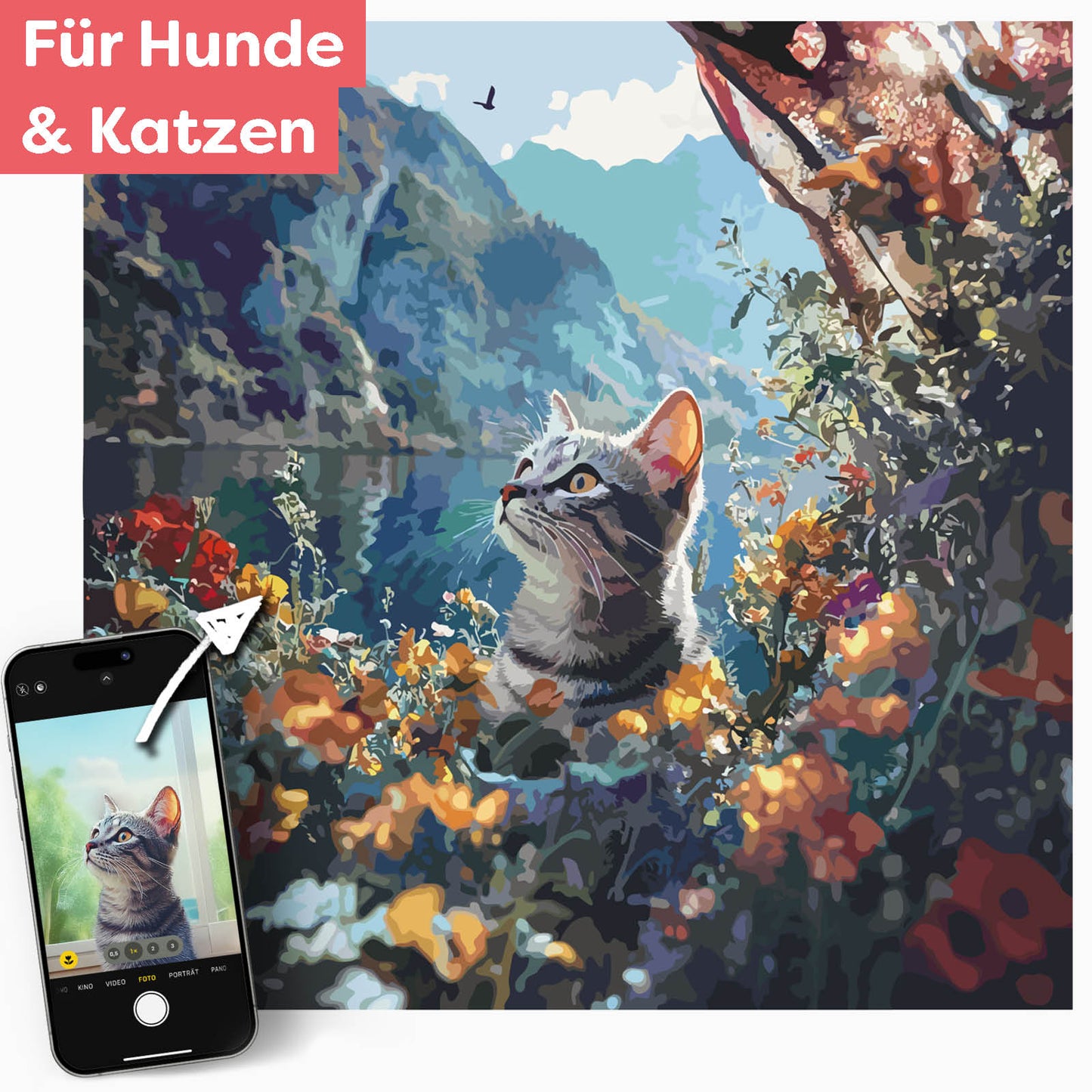 Dein Haustier als Entdecker am Ufer