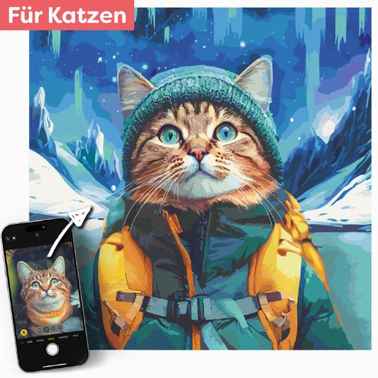 Deine Katze im Abenteuer
