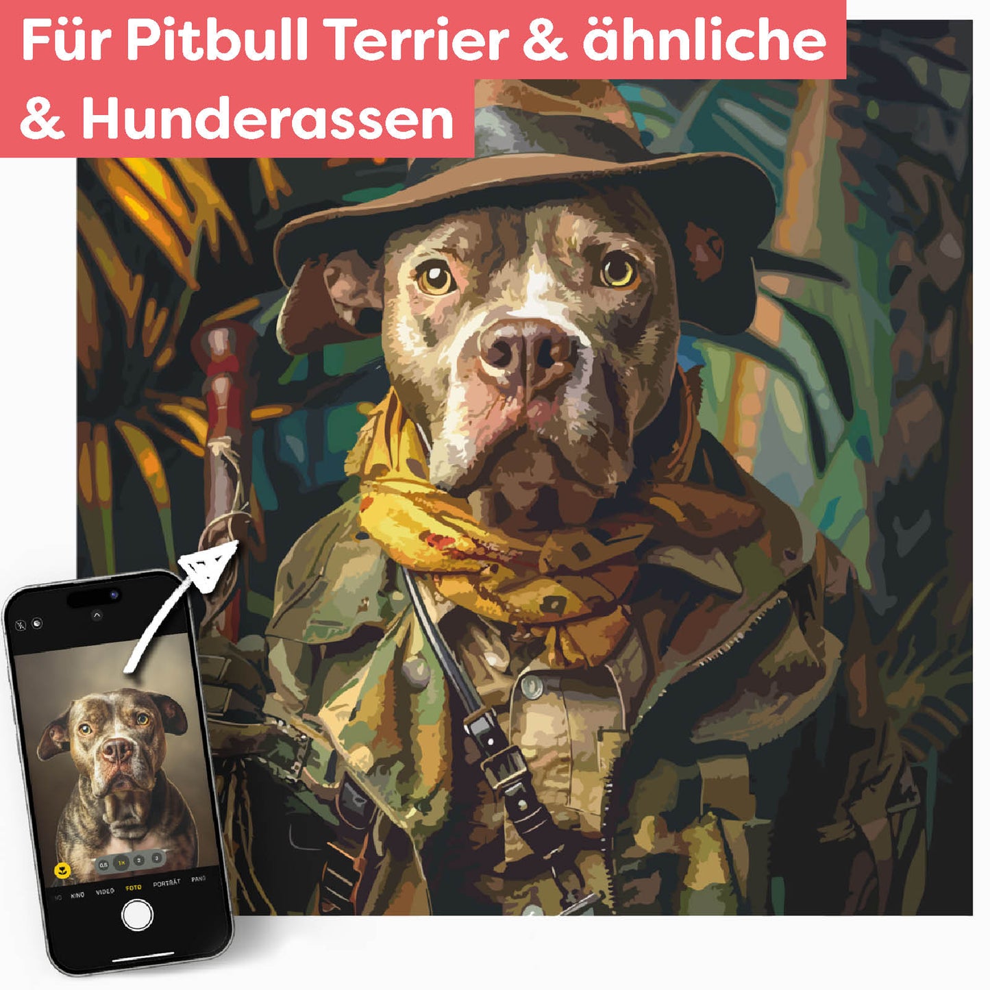 Dein Pitbull Terrier im Abenteuer