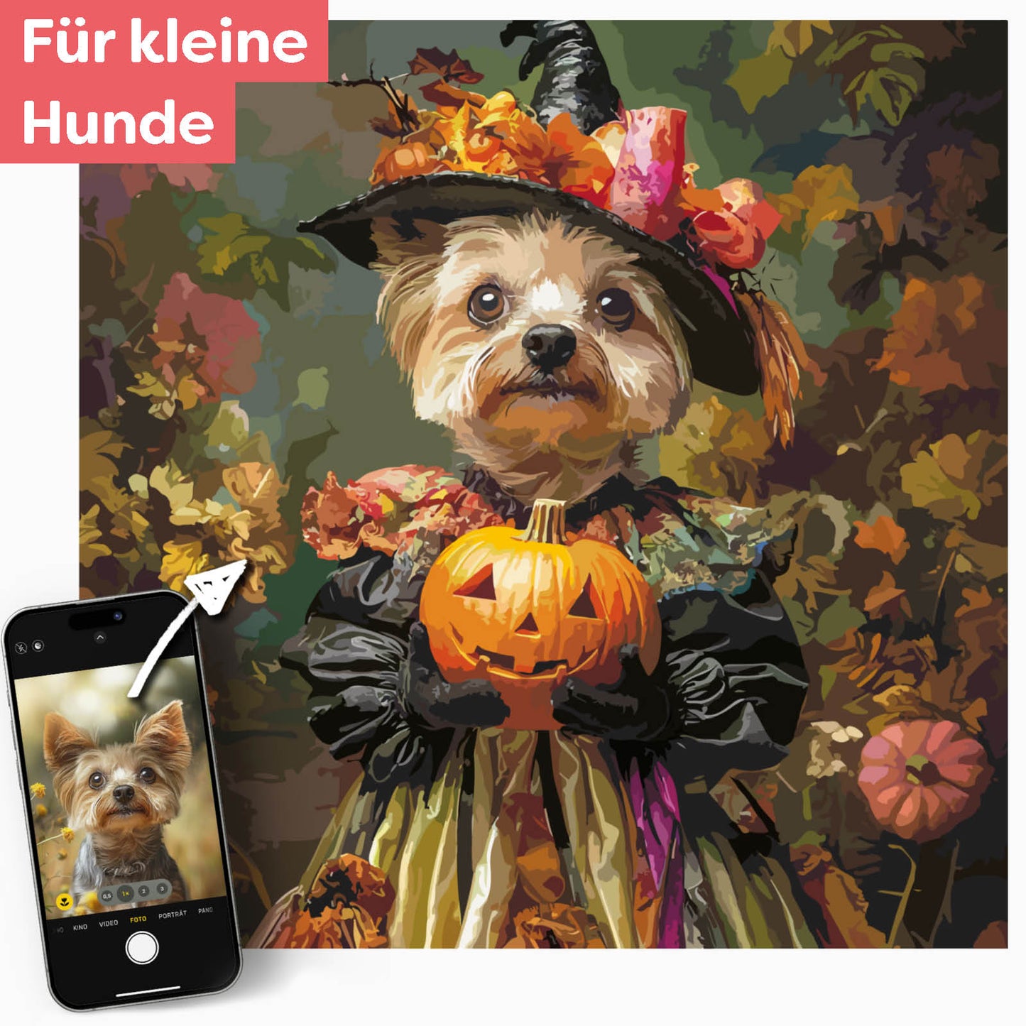 Dein kleiner Hund als Hexe