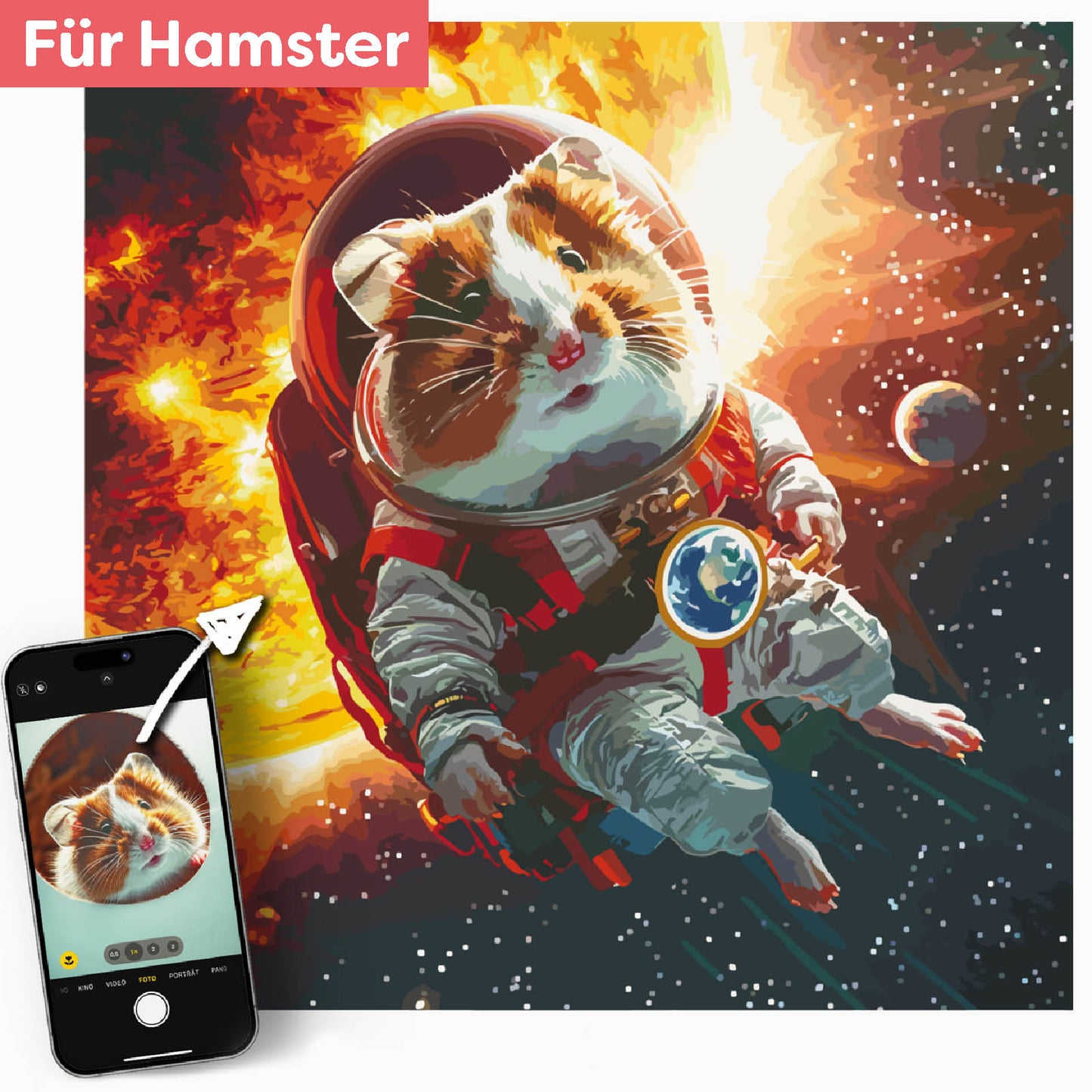 Dein Hamster im Weltall