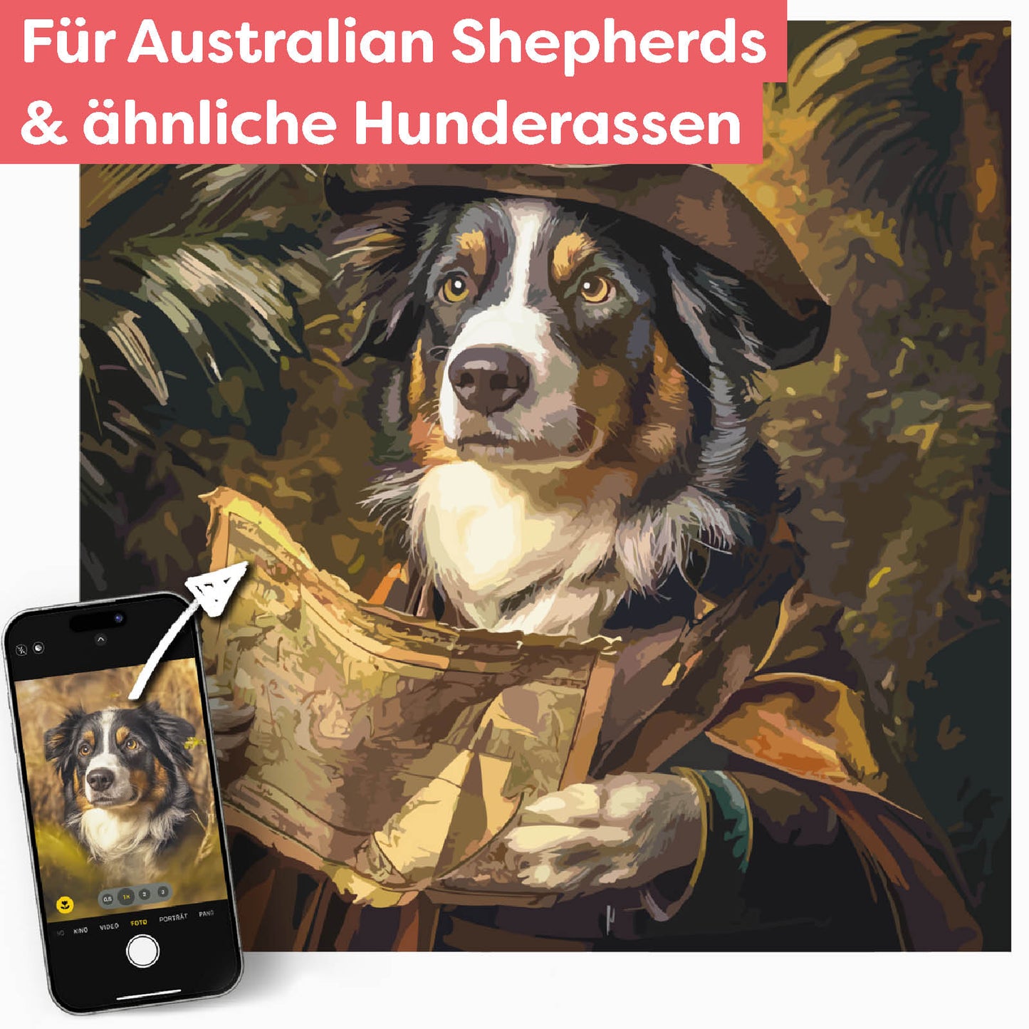 Dein Australian Shepherd im Abenteuer
