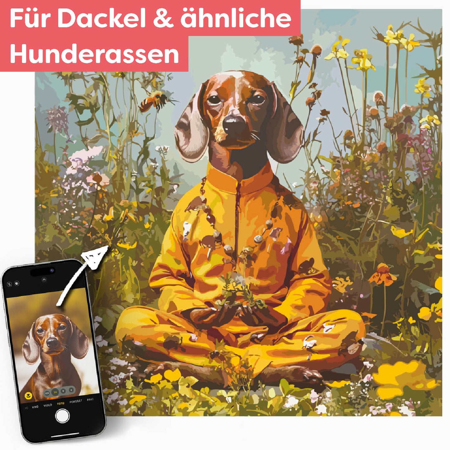 Dein Dackel als Guru