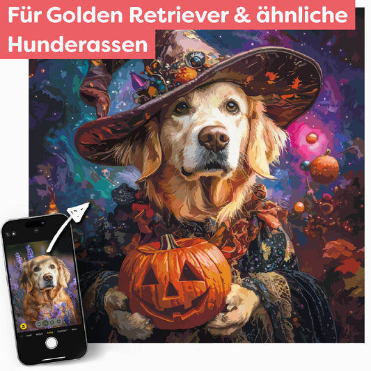 Dein Golden Retriever als Magier