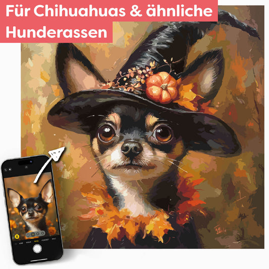 Dein Chihuahua als Hexe