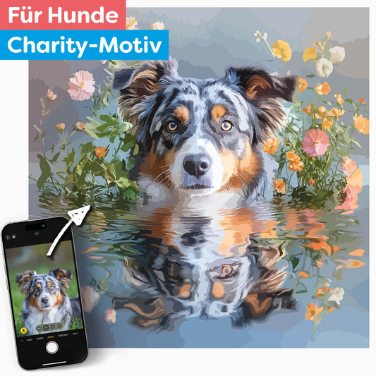 Dein Hund im Spiegel des Wassers