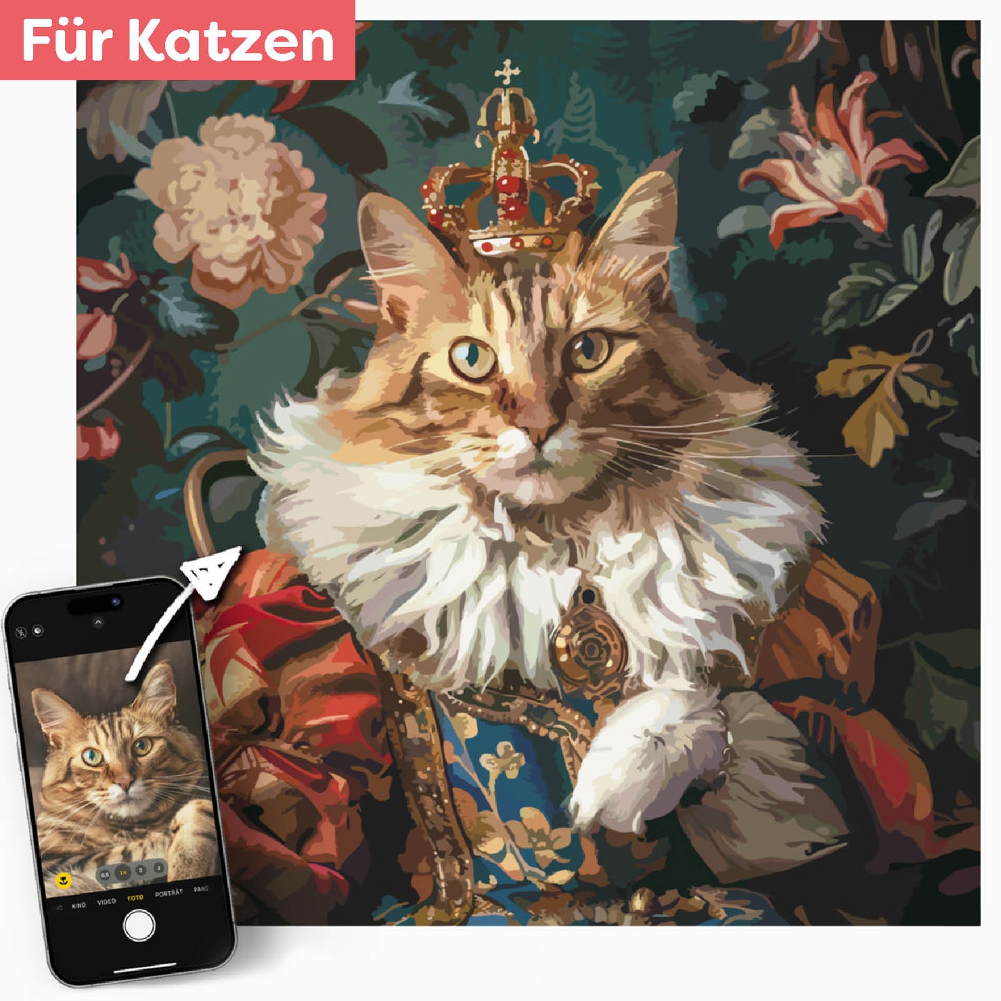 Deine Katze in königlichem Gewand