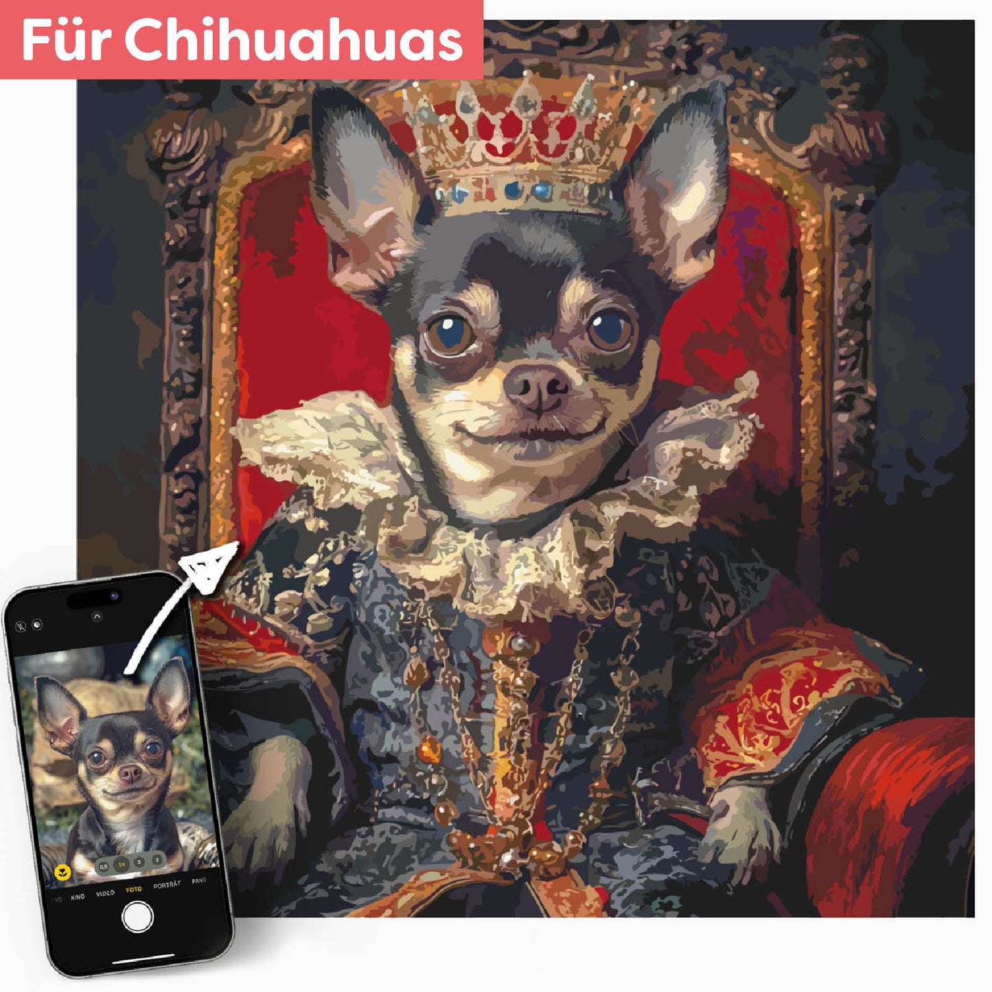Dein Chihuahua in königlichem Gewand